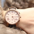 fossilq (1).jpg